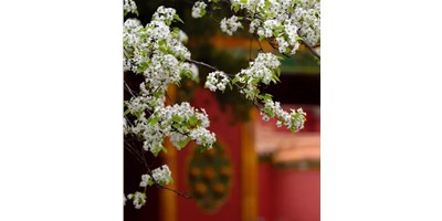 【展會(huì)資訊】臺(tái)群精機(jī)5月展會(huì)一覽，等您來(lái)參觀！