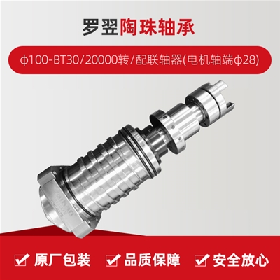 羅翌/陶珠軸承/φ100-BT30/20000轉(zhuǎn)/配聯(lián)軸器(電機軸端φ28)